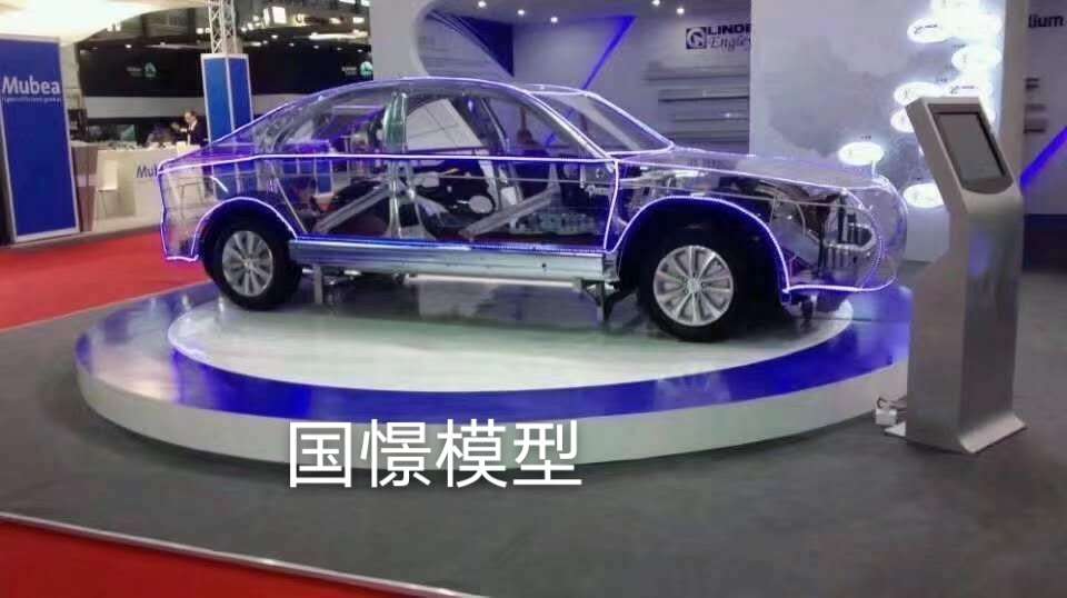 新安县车辆模型
