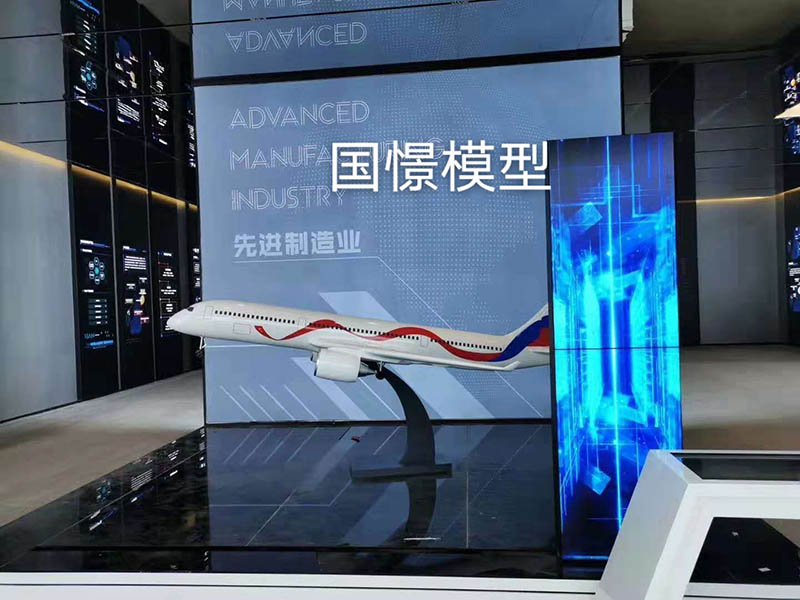 新安县飞机模型