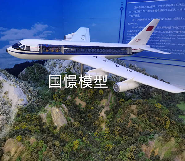 新安县飞机模型