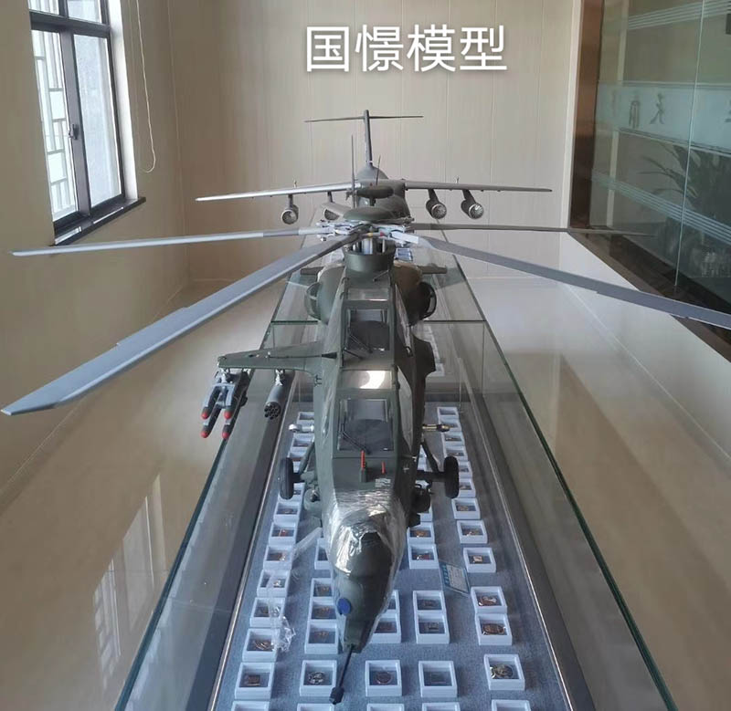 新安县飞机模型