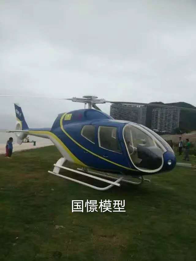 新安县飞机模型