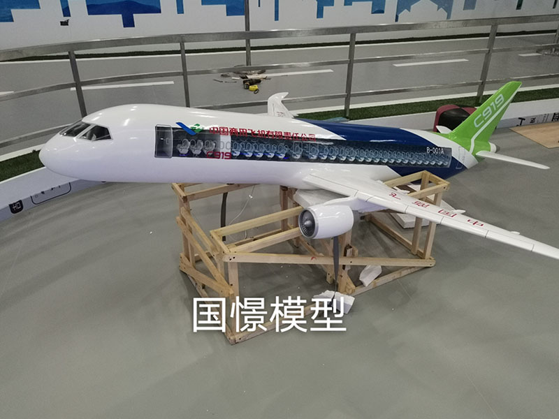 新安县飞机模型