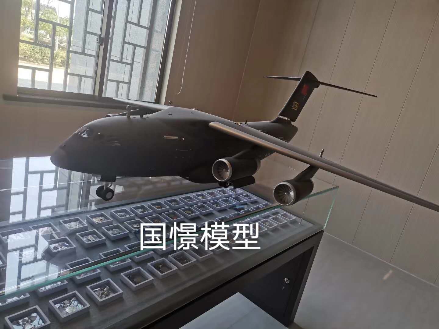 新安县飞机模型