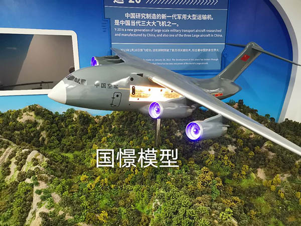 新安县飞机模型