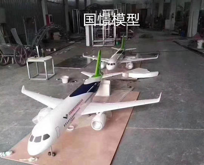 新安县飞机模型