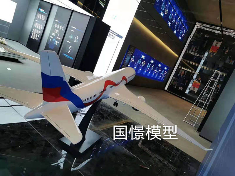 新安县飞机模型