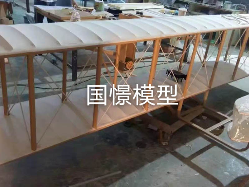 新安县飞机模型