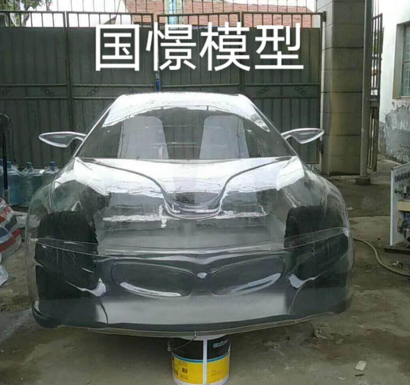 新安县透明车模型