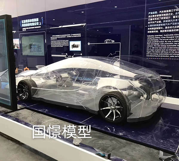 新安县透明车模型