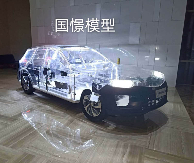 新安县透明车模型