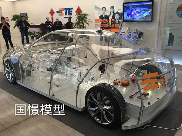 新安县透明车模型